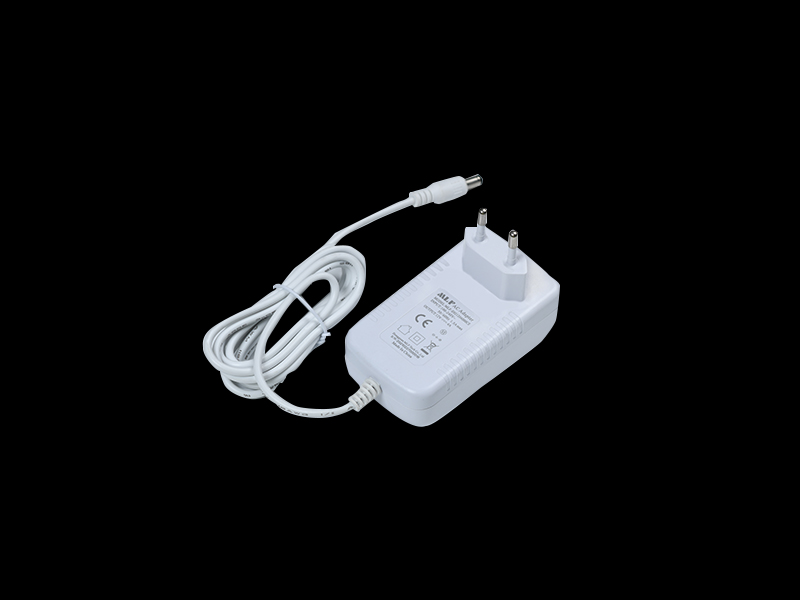 E02 48W 電源適配器